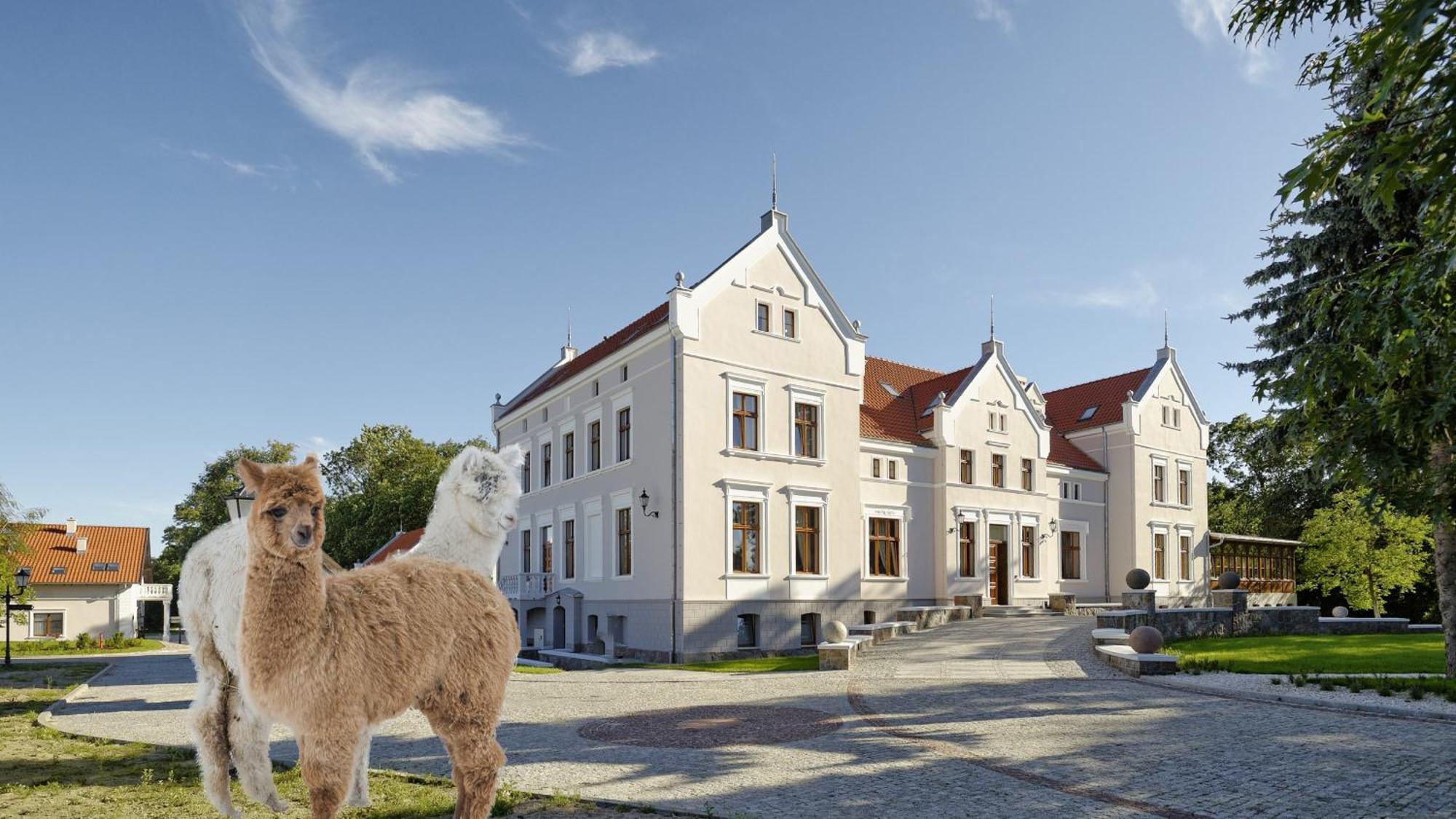 Palac Mortegi Hotel & Spa- Restauracja Szlachecka, Spa, Basen, Sauny, Jazda Konna, Mini Zoo- Luksus, Relaks I Przyroda W Jednym! Lubawa Exterior foto